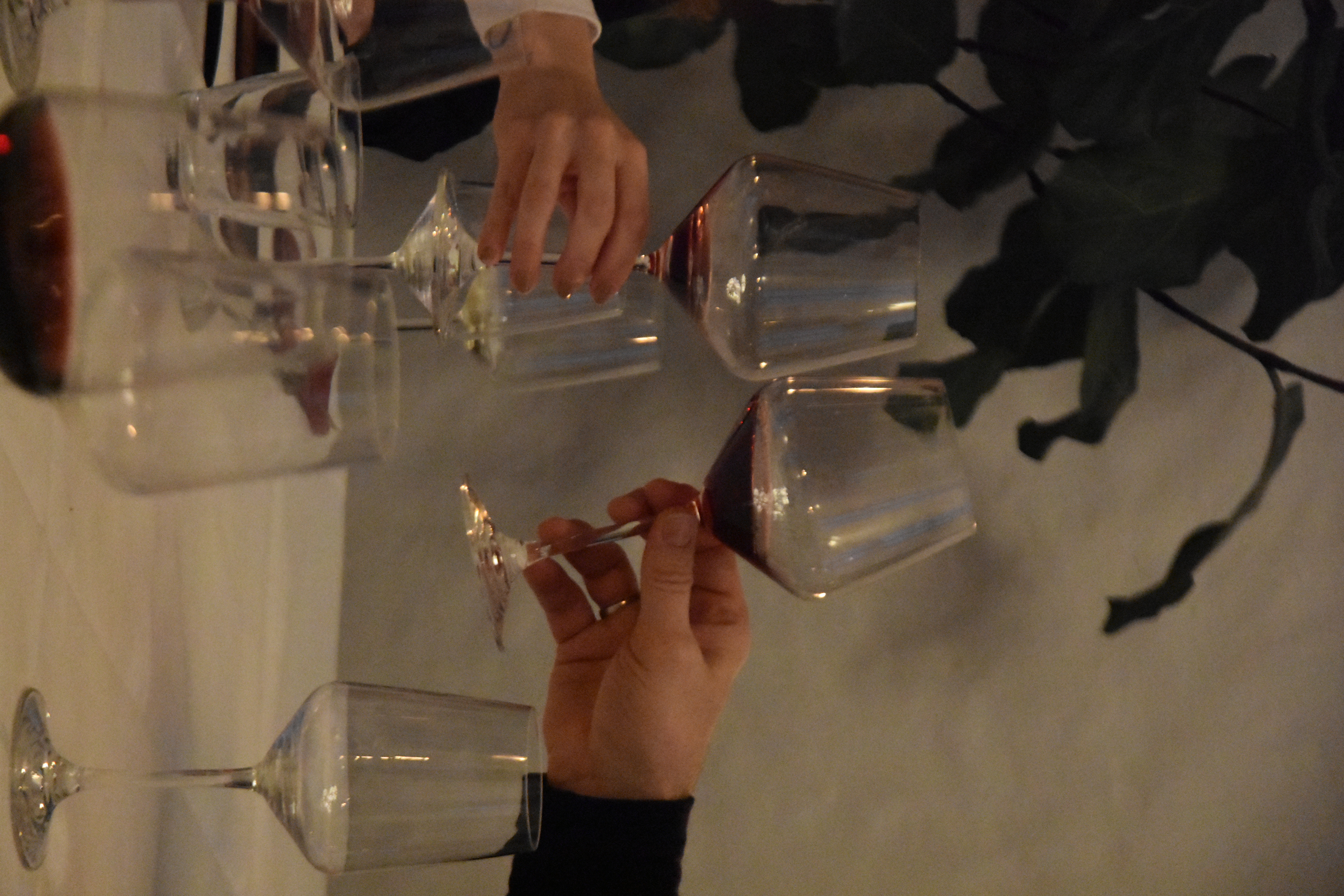 Vinsmagning med aftensmad